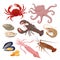 Seafood set of vector illustrations in flat design isolated on white background. Vector icons mussel, shrimp, squid