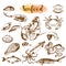Seafood sketch set. Fish, shrimp, crab, lobster, octopus, mollusks isolated graphic on a white background a set. Vector