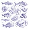 Seafoods hand drawn. Sea fishes oysters mussels lobster squid octopus crabs prawns salmon shellfish natural sea food