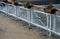 Seafront with metal railings and plastic boxes attached to the handrail. filled with dry flower decoration. benches and concrete s