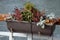 Seafront with metal railings and plastic boxes attached to the handrail. filled with dry flower decoration. benches and concrete s