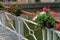 Seafront with metal railings and plastic boxes attached to the handrail. filled with dry flower decoration. benches and concrete s