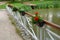 Seafront with metal railings and plastic boxes attached to the handrail. filled with dry flower decoration. benches and concrete s