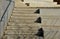 Seafront with plane trees growing out of the lattice in the pavement. a beige concrete staircase serves as a theater bench overloo