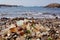 Seaglass of Fort Bragg California CA on shore