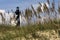 Seagrass framing the Hatteras Lighthouse