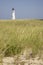 Seagrass and Great Point Light Nantucket