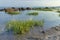 Seagrass seawall oceanscape sunset