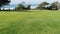 Seagrove park in Del Mar, California USA. Seaside lawn. Green grass and ocean view frome above.