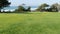 Seagrove park in Del Mar, California USA. Seaside lawn. Green grass and ocean view frome above.