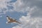 Seagul in flight gliding along on a calm sunny day