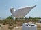 Seagul salt sculpture