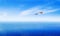 Seagull above abstract mist ocean