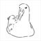 Seagull Albatross bird in flight with open wings sketch vector graphics black and white drawing