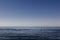 Seagull alone sits on a rock protruding from the water, surrounded by sea and sky