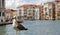 Seagull along the Grand canal in Venice with the beautiful Venetian palaces