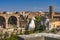 Seagull Ancient Forum Basilica Constantine Rome Italy