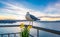 Seagull at Balcony in the sunset