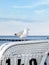 Seagull on baltic sea beach chair