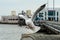 Seagull at Bangpu, Samut-Prakarn, Thailand