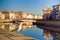 Seagull on banks of Arno river