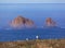 Seagull in Berlenga island - Portugal