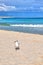Seagull bird on the sandy beach in the Caribbean coast of Cancun, Mexico