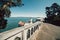 Seagull bird on scenic promenade street at Alcatraz island in San Francisco