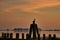 Seagull bird silhouette sunset pier