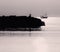 Seagull bird silhouetted on rocks with fishing boat in background bathed in beautiful golden light from sunrise, cala bona,