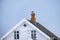 Seagull birds standing on chimney brick rooftop