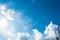 Seagull with blue sky and some clouds as background