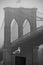 Seagull and Brooklyn Bridge