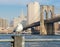 Seagull with Brooklyn Bridge and Lower Manhattan.