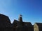 Seagull at Caernarfon Castle