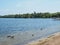 Seagull and Canadian Geese on the East Gull Lake Shore 2