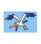 seagull cartoon character flies and screams illustration