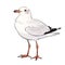Seagull cartoon comic drawing , black outline, AI generated