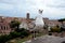 Seagull on city background in Rome