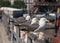 Seagull at the city port.