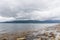 Seagull in cloudy sky. Seagull flying in cloudy sky. Seagull flying over fjord