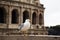 Seagull with the colosseum in background, Rome