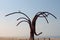 Seagull on the `Dansende Golven` Dancing Waves sculpture at Ostend beach, Belgium