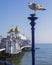 Seagull on Eastbourne Pier