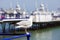 Seagull at Eastbourne Pier