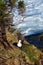 Seagull on the edge of a cliff by the ocean