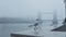 Seagull in empty, deserted Central London at Tower Bridge on a cool blue misty morning on day one of