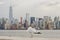 A Seagull Enjoying the View of  Manhattan Cityscape in New York City