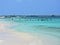 Seagull on the fantastic beach in the caribbean sea