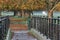 Seagull on fence in autumn scene